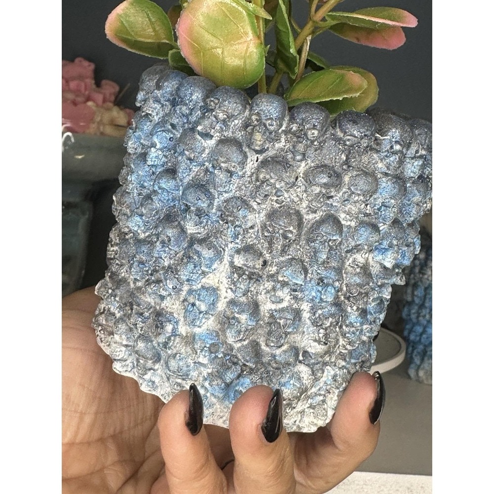 Skull Concrete Plant Pot  Blue Black  Handmade Cement Succulent Planter - Picture 7 of 9